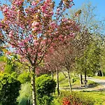 Cascina Tornara, Ritorno Alle Origini Monferrine Prázdninový dům Ozzano Monferrato
