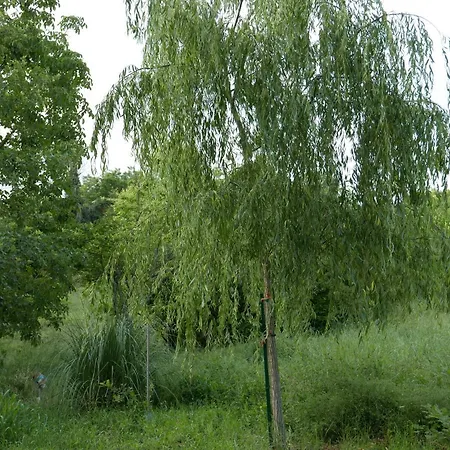 Cascina Tornara, Ritorno Alle Origini Monferrine Prázdninový dům Ozzano Monferrato