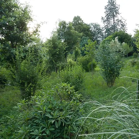 Cascina Tornara, Ritorno Alle Origini Monferrine Dom wakacyjny Ozzano Monferrato