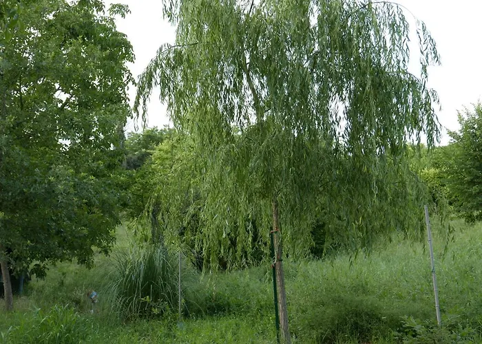 Cascina Tornara, Ritorno Alle Origini Monferrine Σπίτι διακοπών Ozzano Monferrato