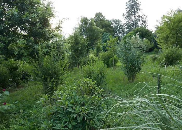 Cascina Tornara, Ritorno Alle Origini Monferrine Casa vacanze Ozzano Monferrato