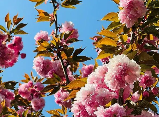 Σπίτι διακοπών Cascina Tornara, Ritorno Alle Origini Monferrine Ozzano Monferrato