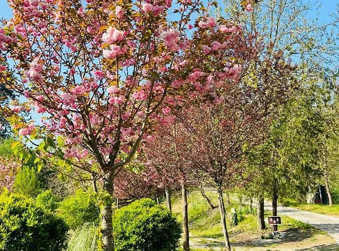 Cascina Tornara, Ritorno Alle Origini Monferrine Σπίτι διακοπών Ozzano Monferrato